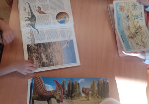 zobacz zdjęcie