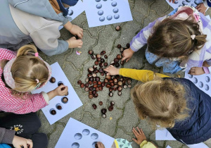 zobacz zdjęcie