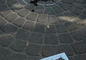 zobacz zdjęcie