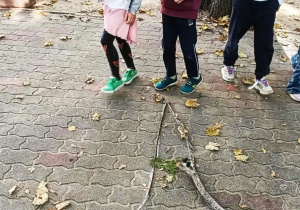 zobacz zdjęcie