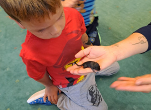 Spotkanie ze zwierzętami